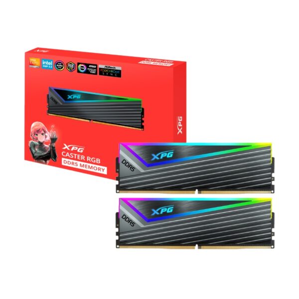 AX5U6000C3016G-DCCARGY